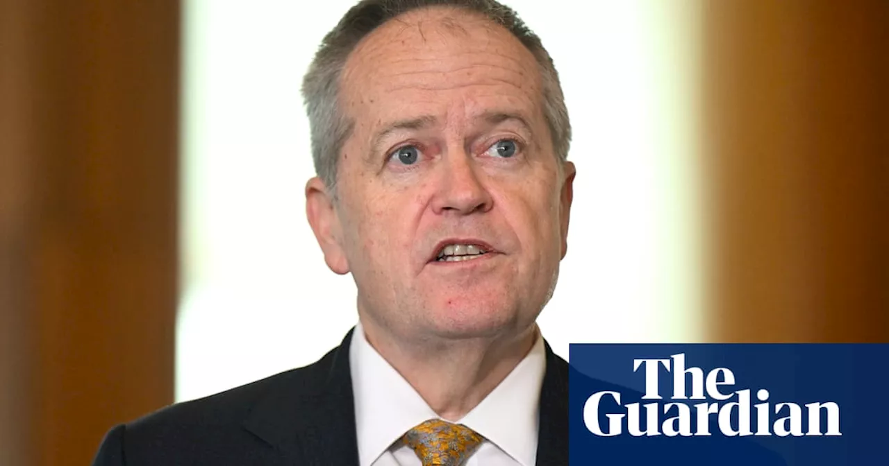 Labor accused of ‘ripping the heart’ out of NDIS as new law introduces stricter eligibility requirements