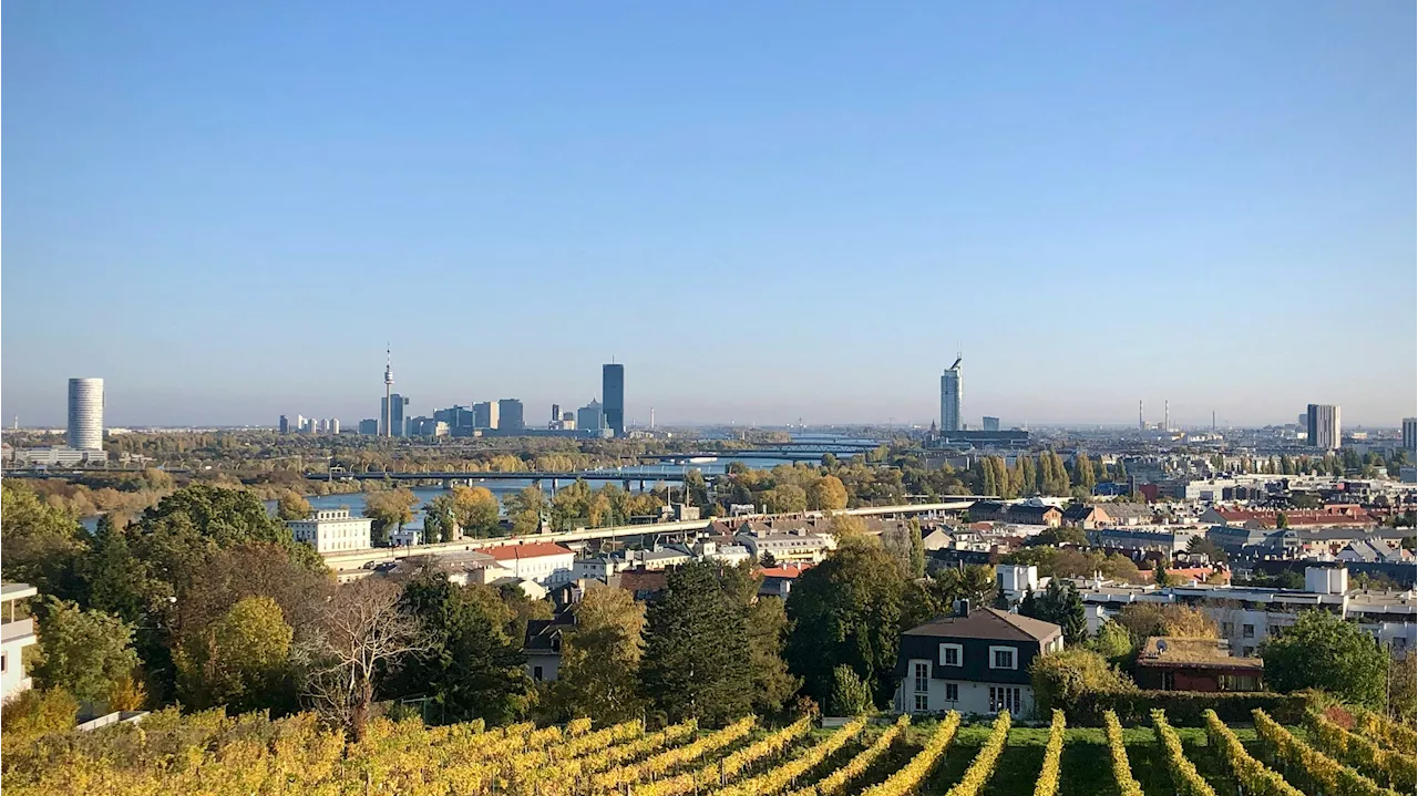 Polizei findet nach Home Invasion gestohlenen Mini