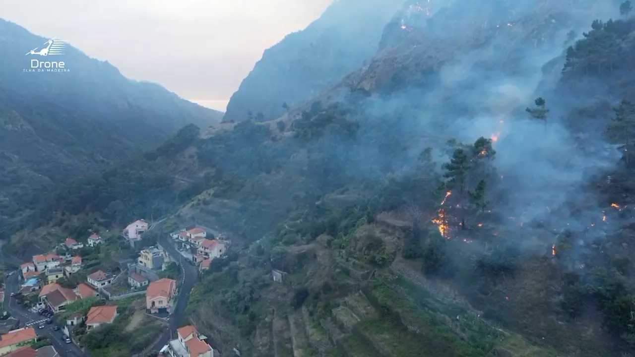 Portugal bittet um EU-Hilfe - Insel Madeira brennt – Weltnaturerbe in Gefahr