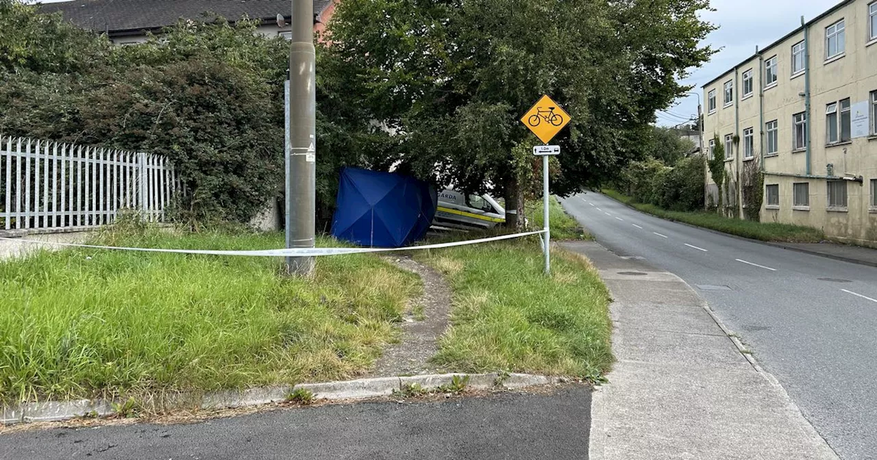 Gardai keeping an open mind about discovery of man’s body in Drogheda