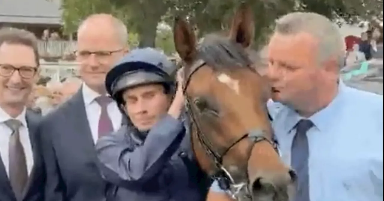 Viewers loved moment between Irish groom and City Of Troy after York win