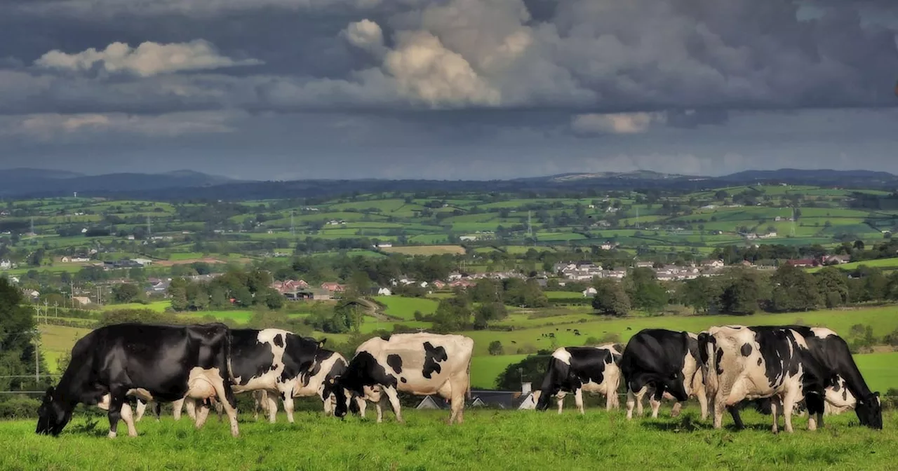 South Armagh farmers dominated compensation list over animals allegedly harmed by British soldiers’ actions