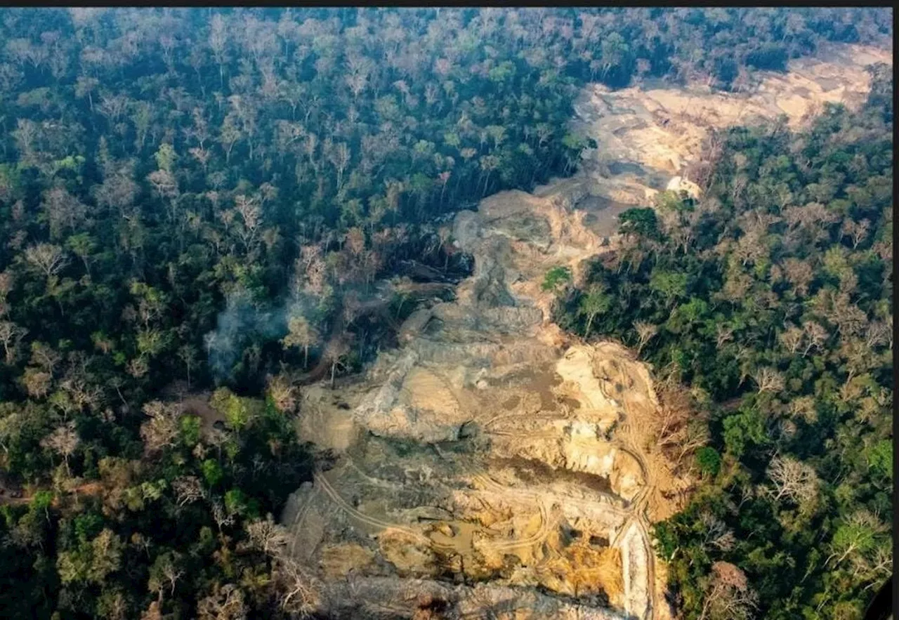 Em sobrevoo, Greenpeace identifica volta de garimpeiros à Terra Indígena Sararé