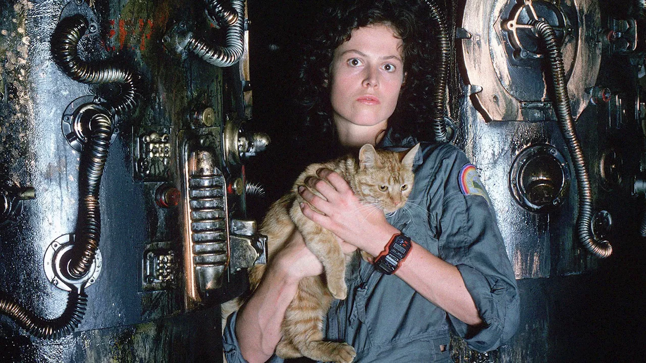 Im Sci-Fi-Horror „Alien: Romulus“: Ellen Ripley taucht auf – und ist niemandem aufgefallen