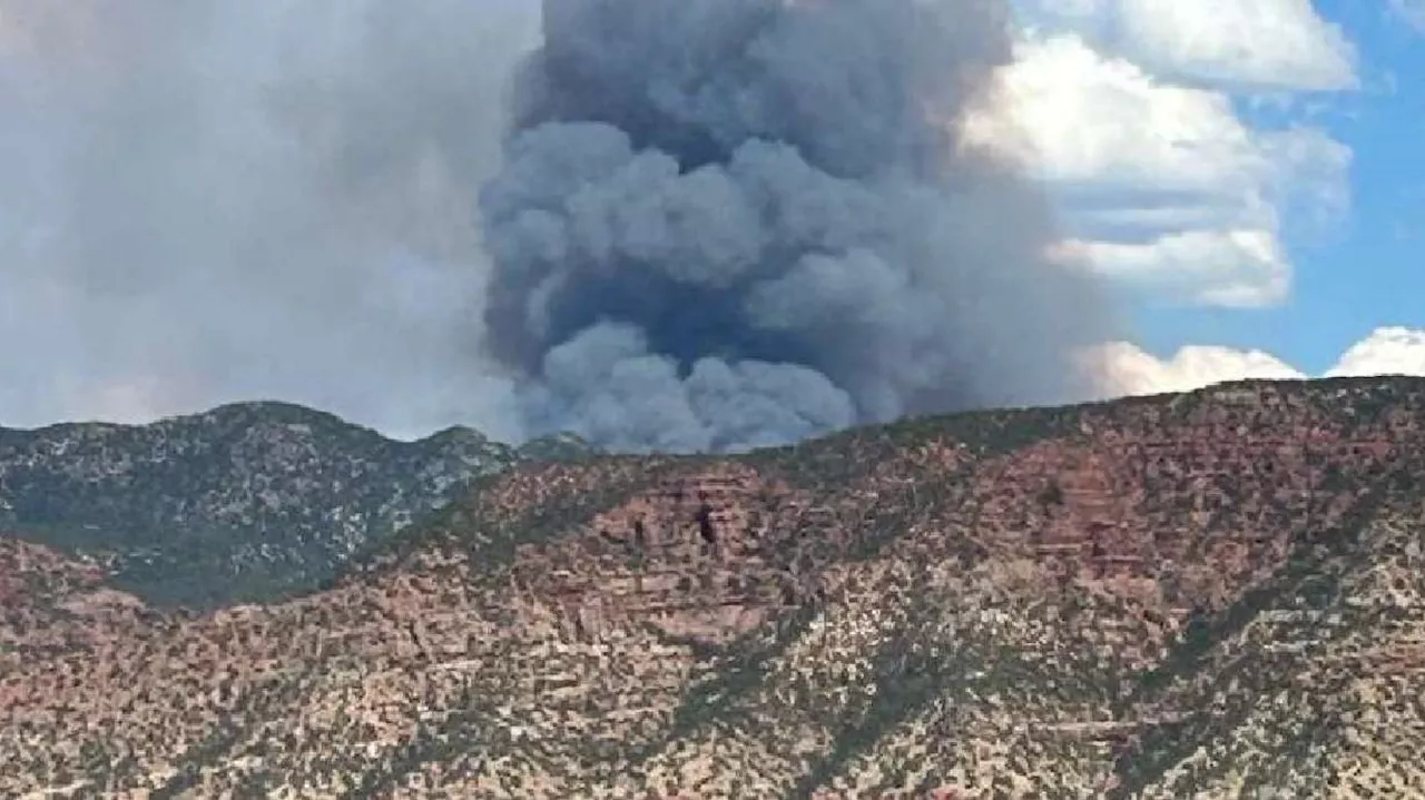 'Air resources are on scene': Wind whips flames as wildfire grows east of Paragonah