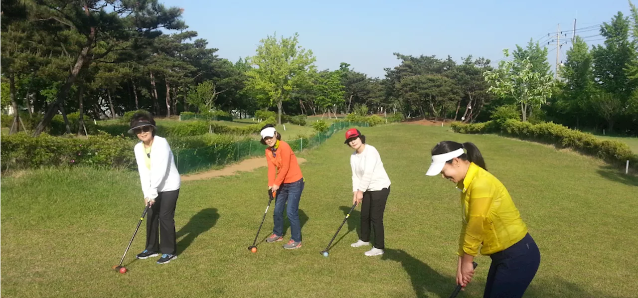 [점선면] [Lite] ⛳ 파크골프를 위한 변명