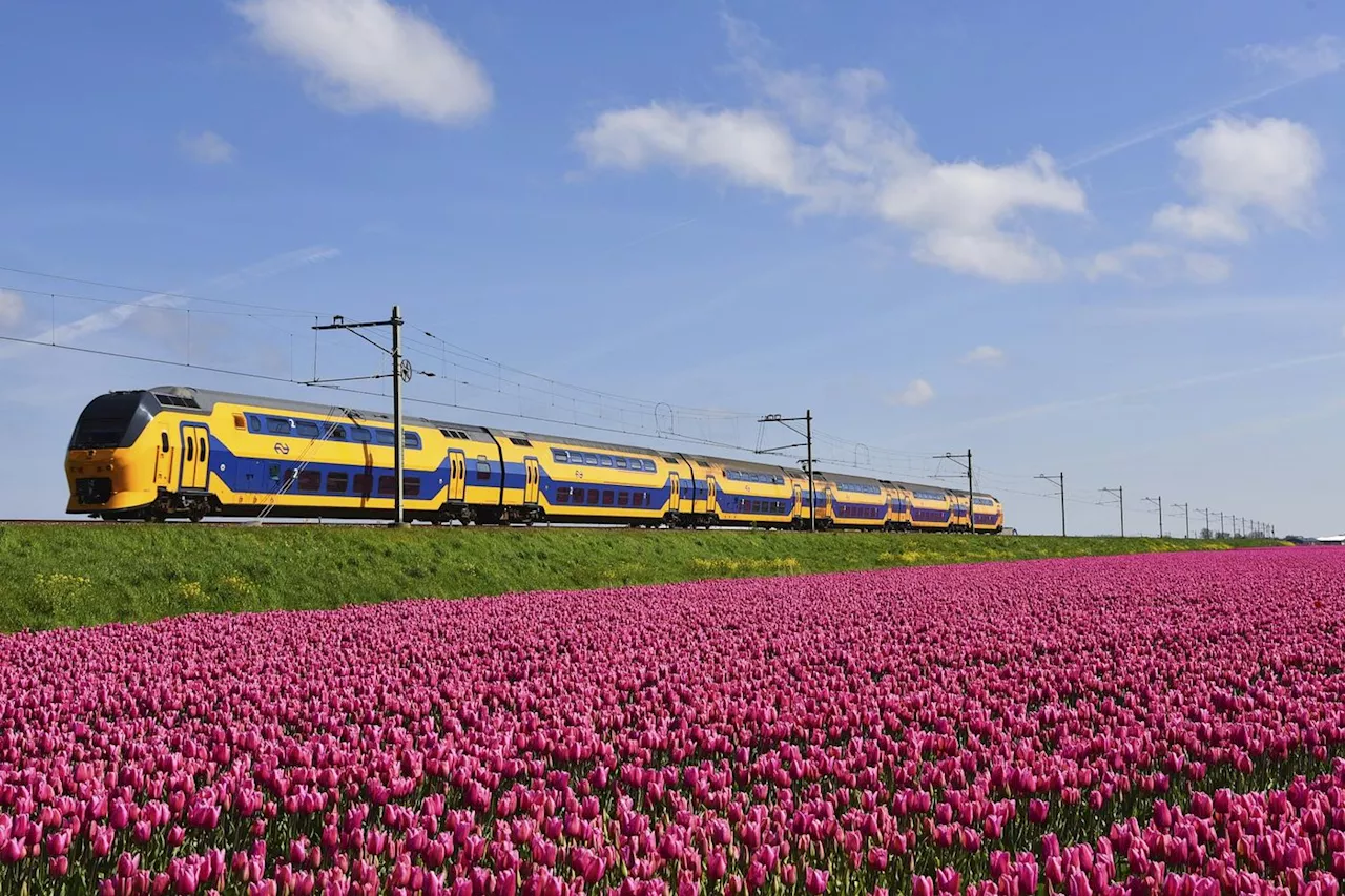 Voyages en train en Europe, entre plaisirs et contraintes