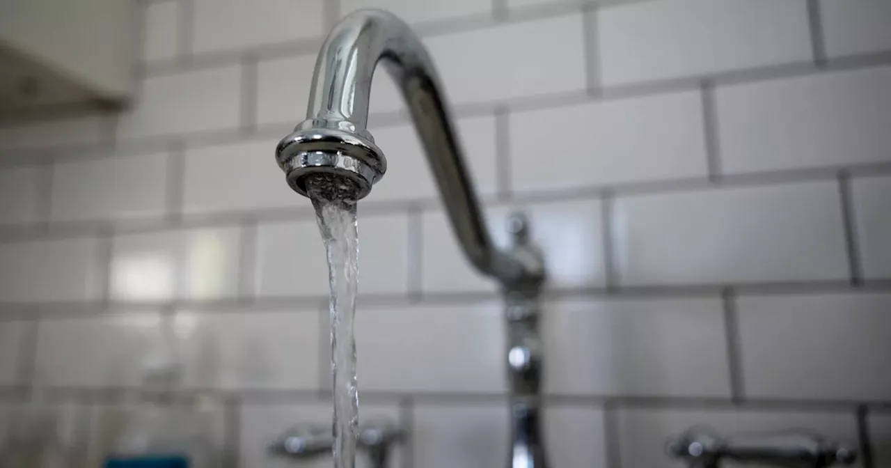 Study finds lead in tap water of Watts homes, including public housing units