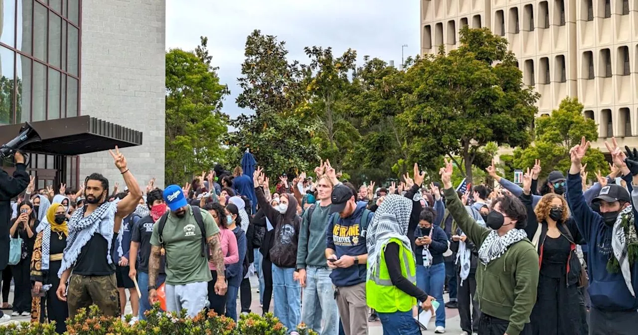 UC Irvine students who led pro-Palestine campus protests allege university violated their due process