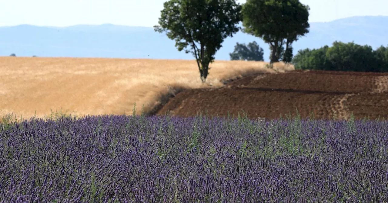 Sécheresse : le sud des Alpes-de-Haute-Provence placé en «crise» ou «alerte renforcée»