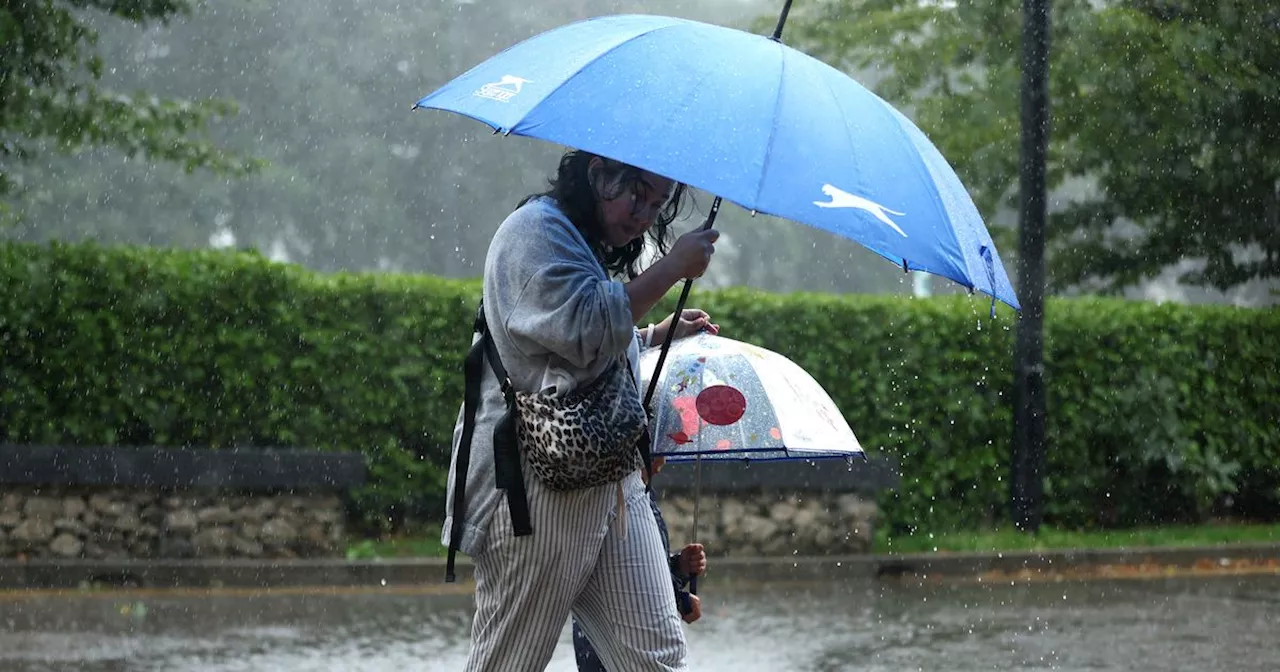 Yellow weather warning for Yorkshire as Storm Lilian to bring 80mph winds