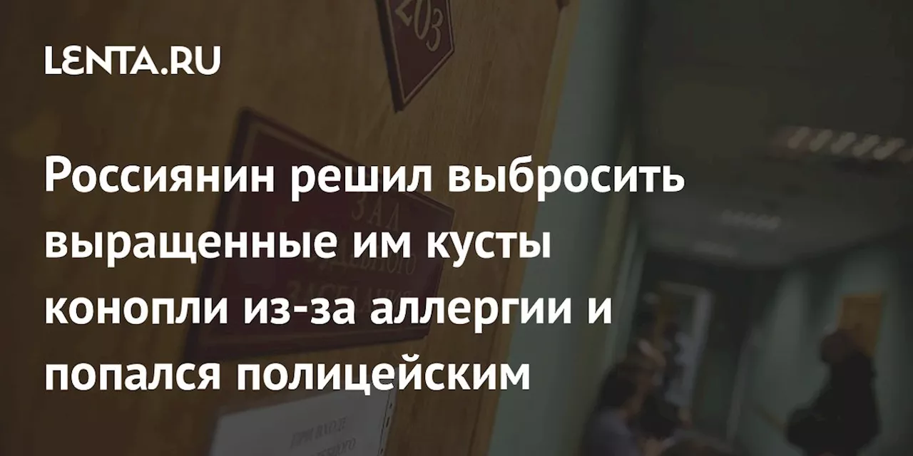 Россиянин решил выбросить выращенные им кусты конопли из-за аллергии и попался полицейским