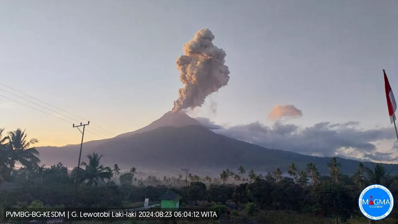 Gunung Lewotobi Laki-Laki Semburkan Abu Vulkanik 1.000 Meter, Warga Diimbau Patuhi Radius Bahaya