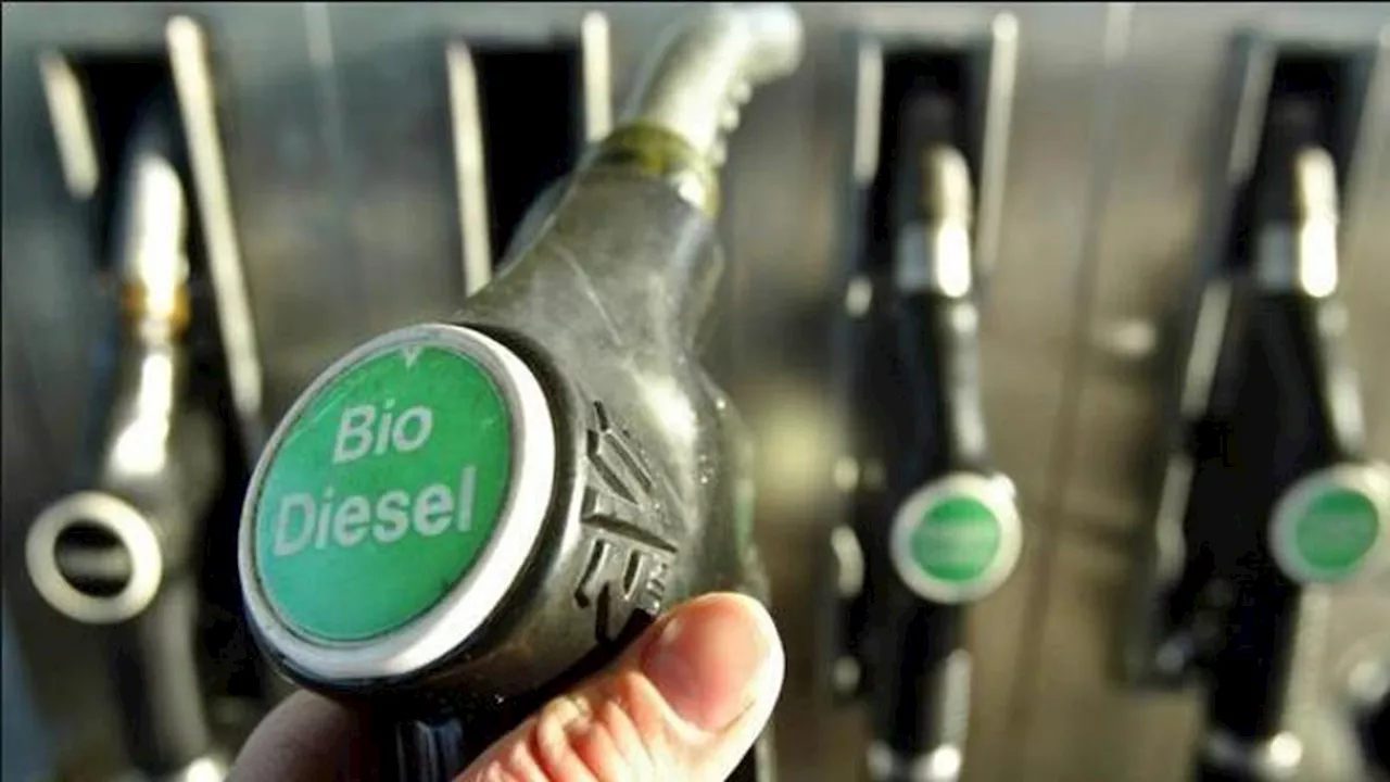 Pemerintah Wajibkan Penggunaan Biodiesel B40 Mulai 1 Januari 2025