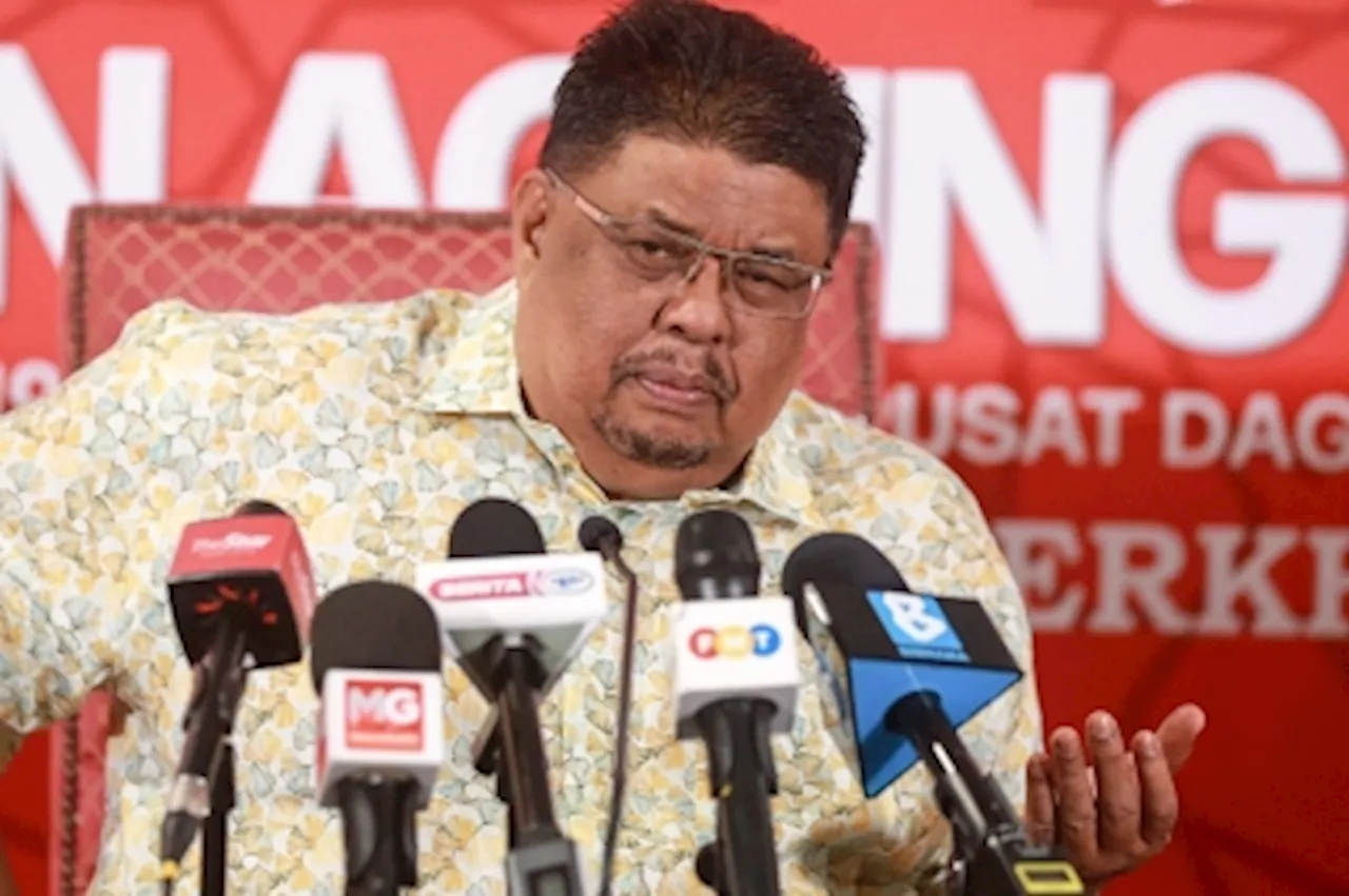 Melaka CM dismisses fears of party disunity over Umno Youth’s solo GE16 talk