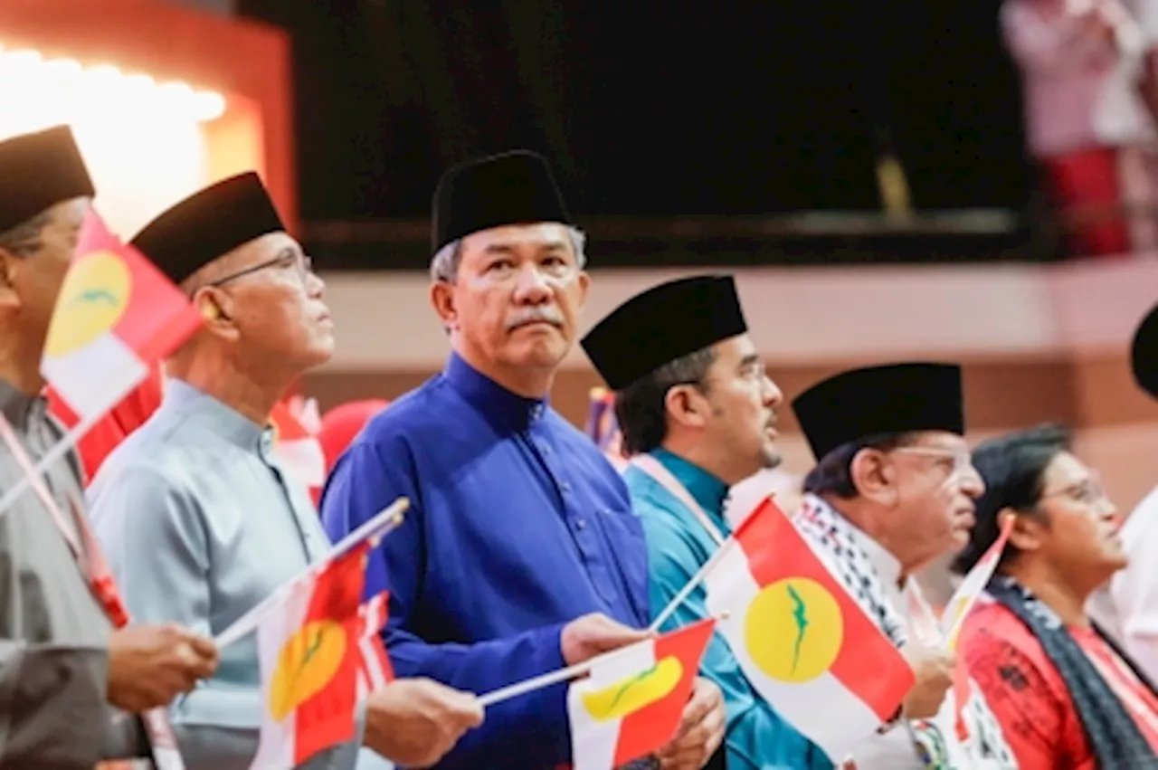 Tok Mat: Nenggiri win shows Malay votes can easily shift, no sign support for Umno has returned en masse