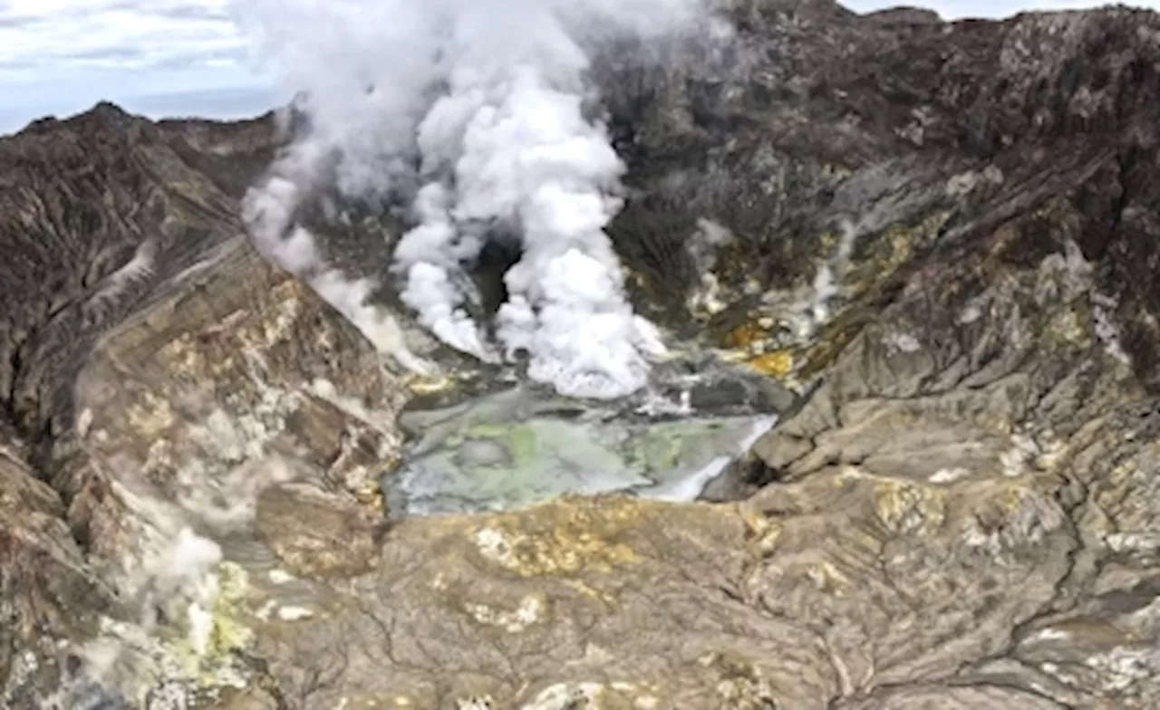 Volcanic eruption grounds flights in New Zealand as ash clouds to loom for ‘weeks to months’