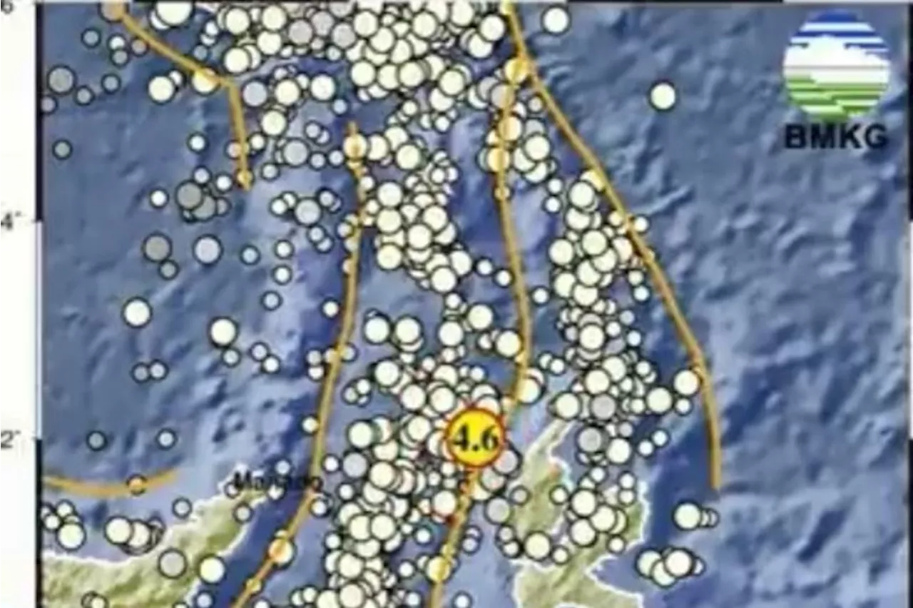 Halmahera Barat, Maluku Utara Diguncang Gempa Bumi Berkekuatan M 4.6