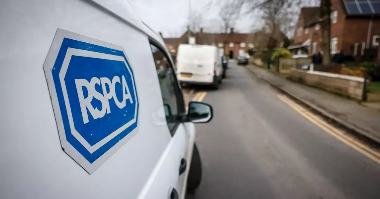 Manchester woman let dog starve to death as RSPCA reveal sickening details