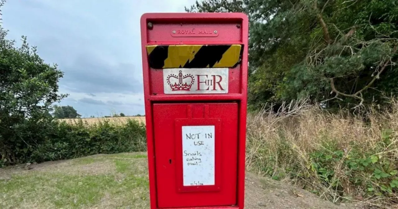 Post box has been closed because snails keep eating the mail