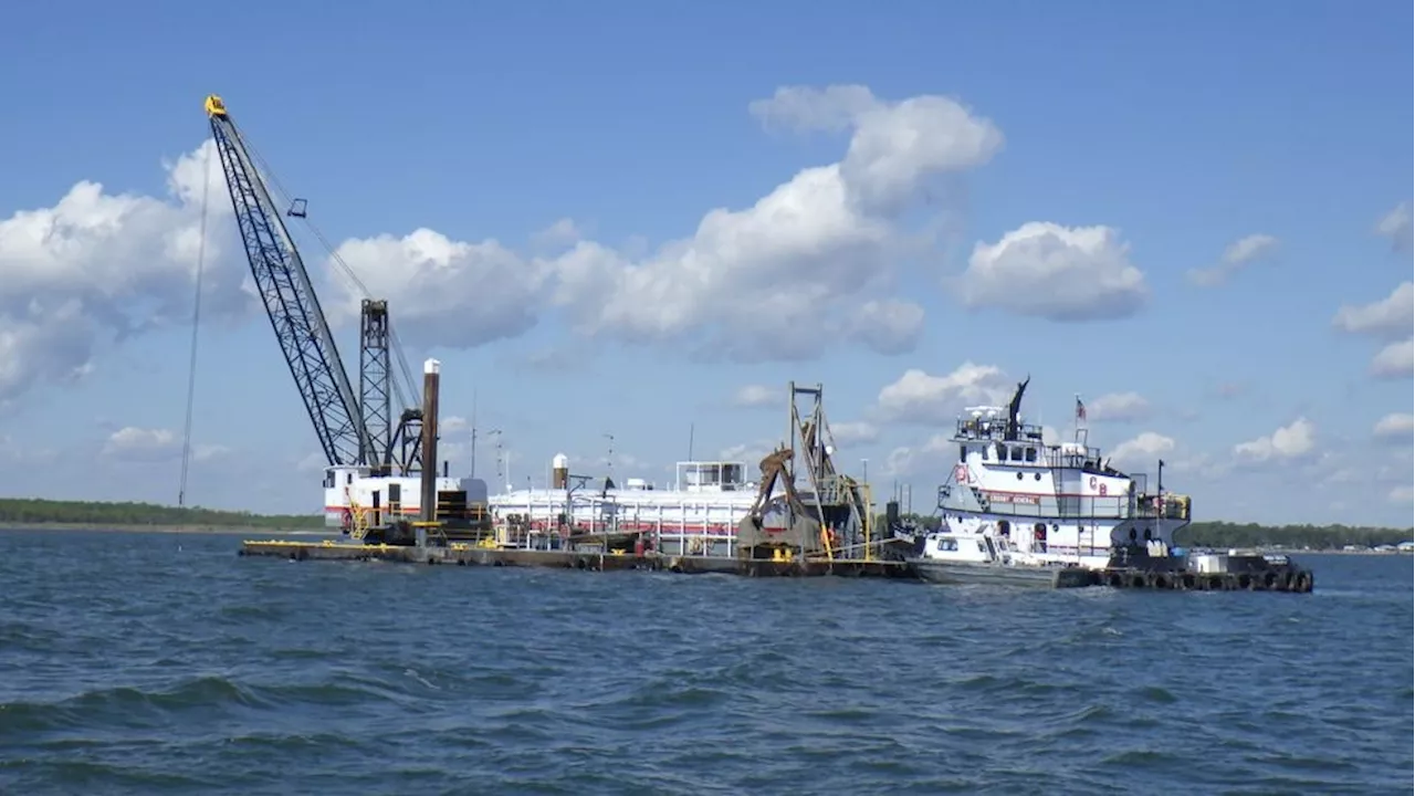 Dauphin Island embarks on shoreline restoration to protect local wildlife