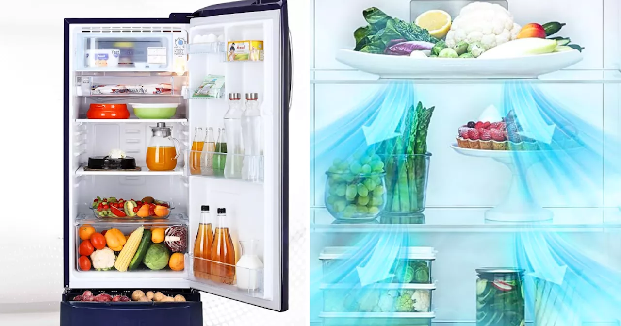 इन LG Refrigerators पर मिल रहा है 20% तक का मेगा डिस्काउंट, मिस न करें ये बेस्ट ऑफर