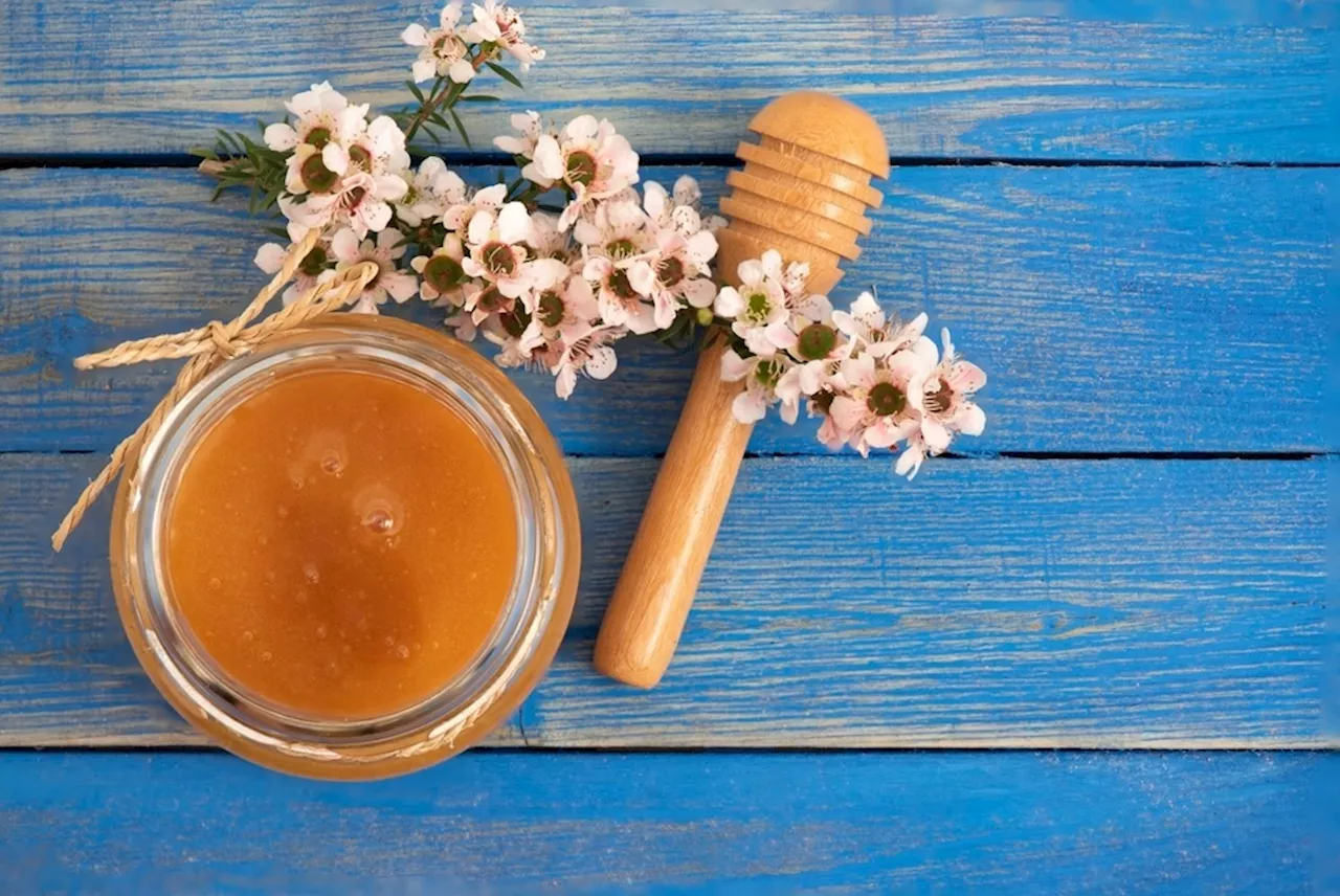 Potential antitumoral effects of Manuka honey in breast cancer models