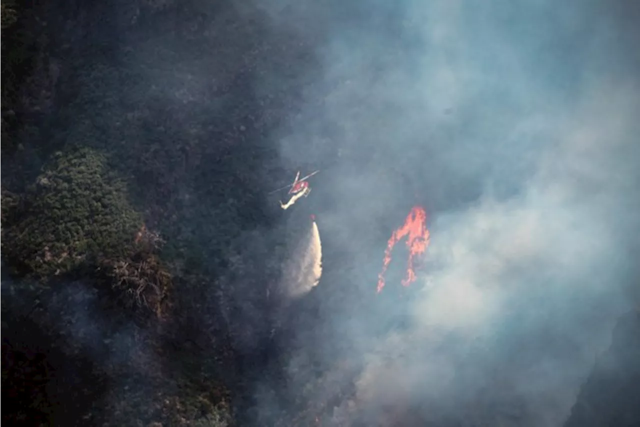 Europese Unie stuurt blusvliegtuigen naar Madeira om bosbrand te bestrijden