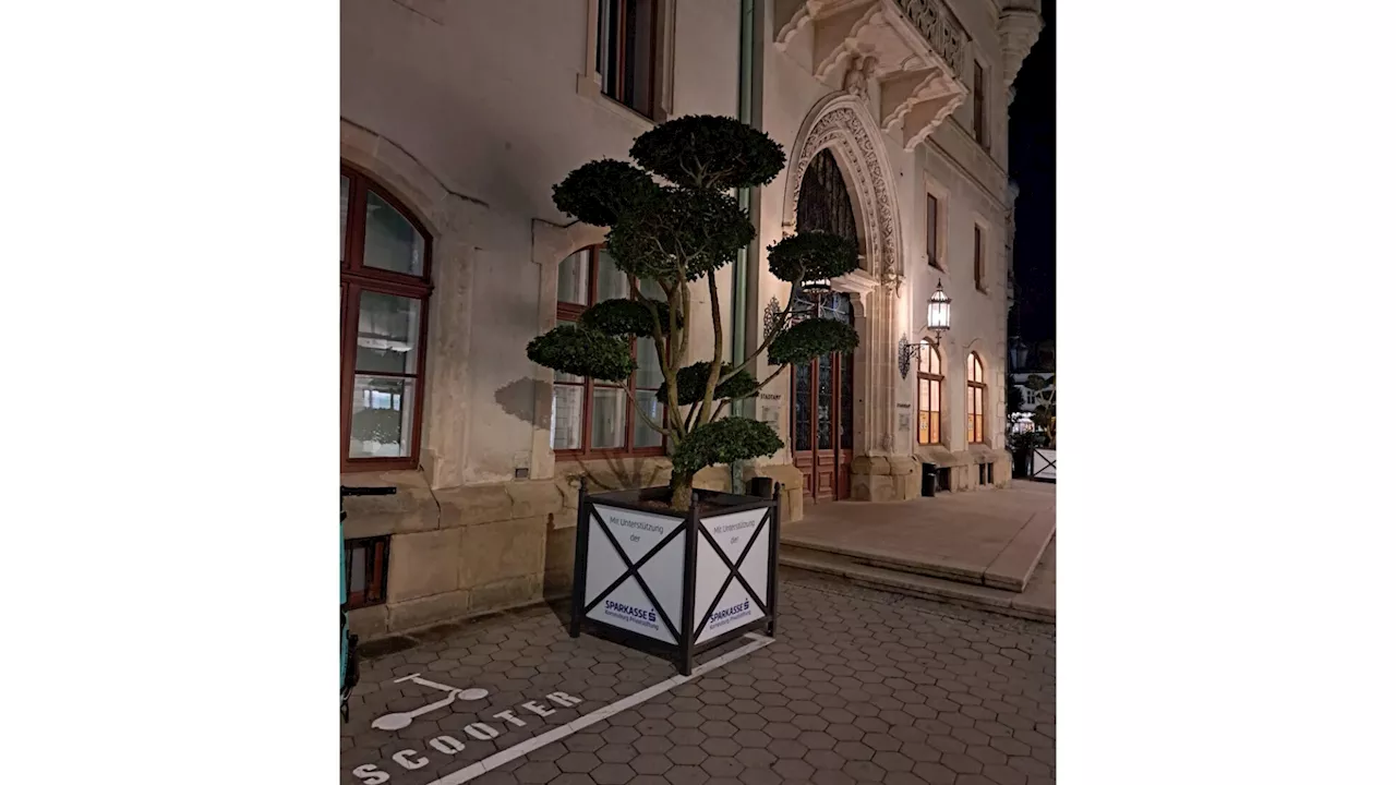 Mehr Grün für den Korneuburger Hauptplatz