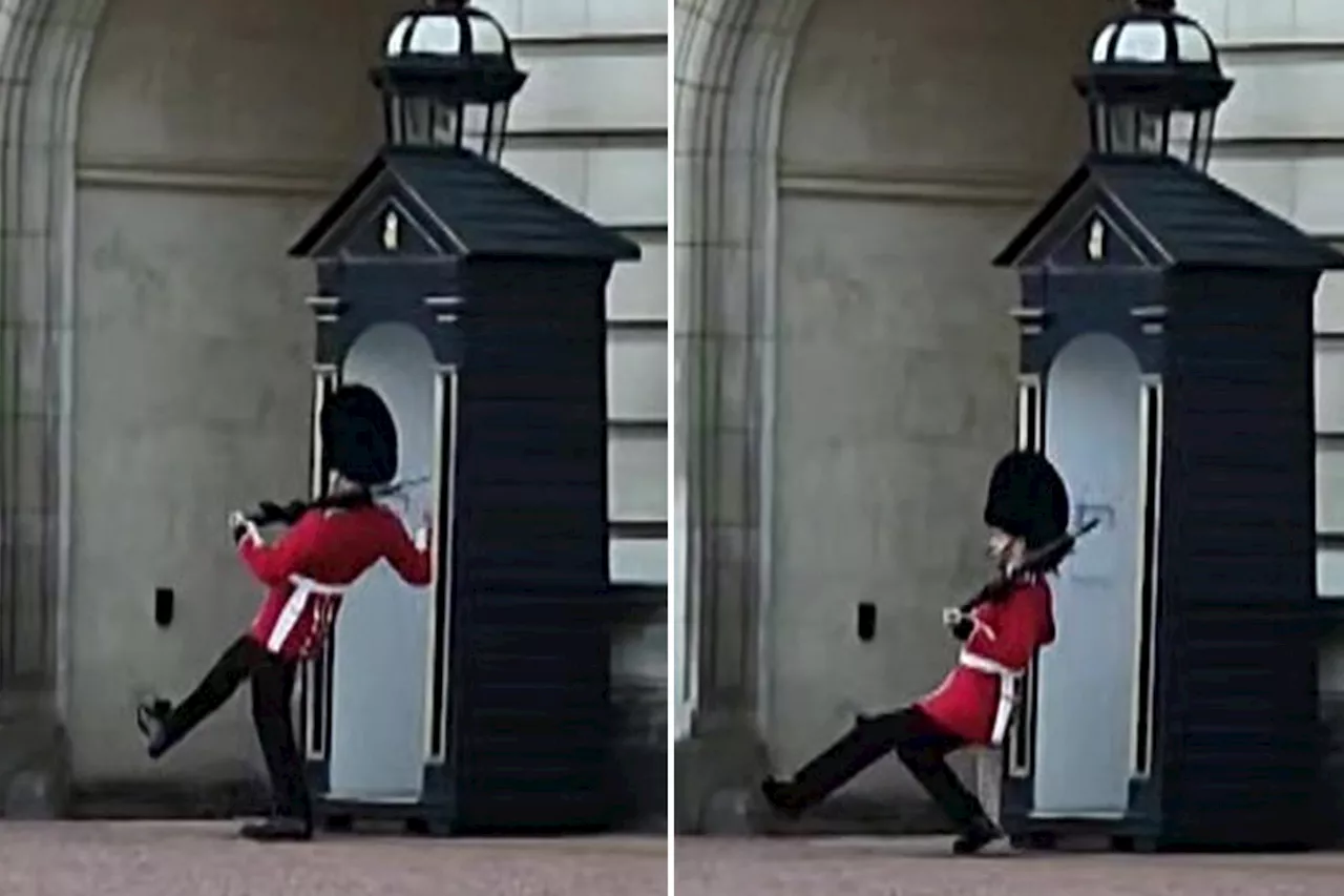 Buckingham Palace guard slips and lands on his bum in hilarious video: 'I had to watch it back to believe it'