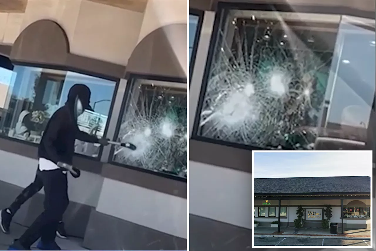 Dopey wannabe-thieves with sledgehammers try to break into jewelry store — but fail miserably: video