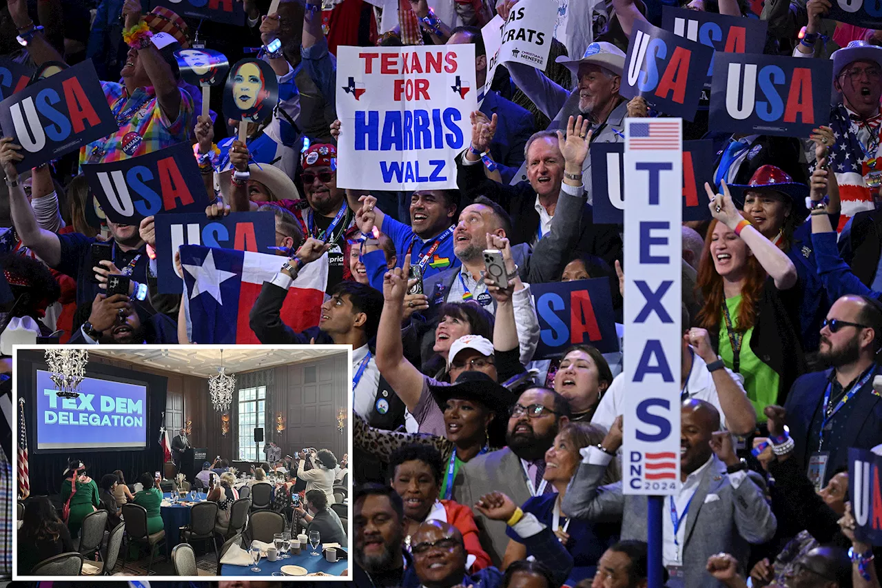 Texas Democratic delegate robbed at gunpoint near DNC in Chicago