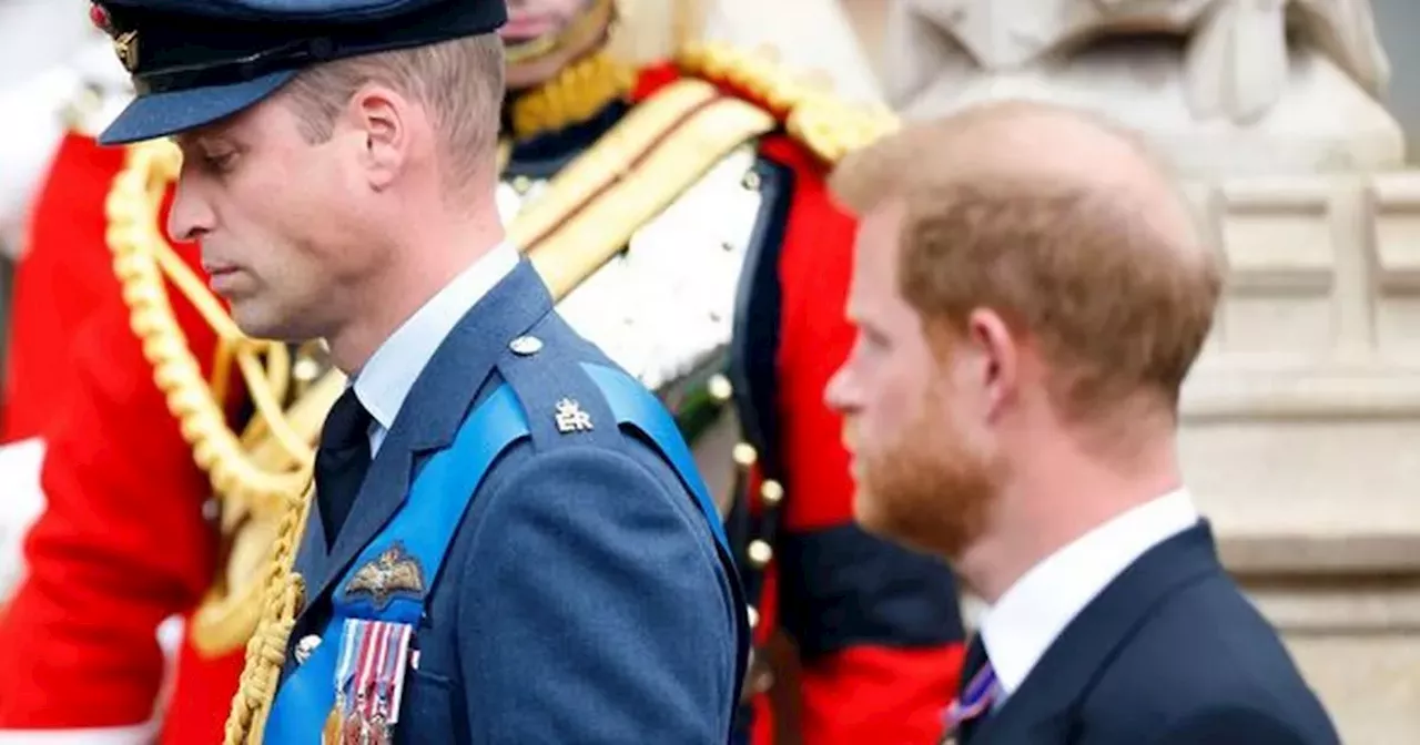 Prince Harry and Prince William 'at war' with pair 'not speaking for 2 years'