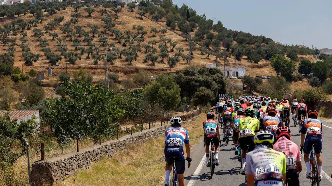 DIRECT. Vuelta 2024 suivez la 6e étape entre Jerez de la Frontera et