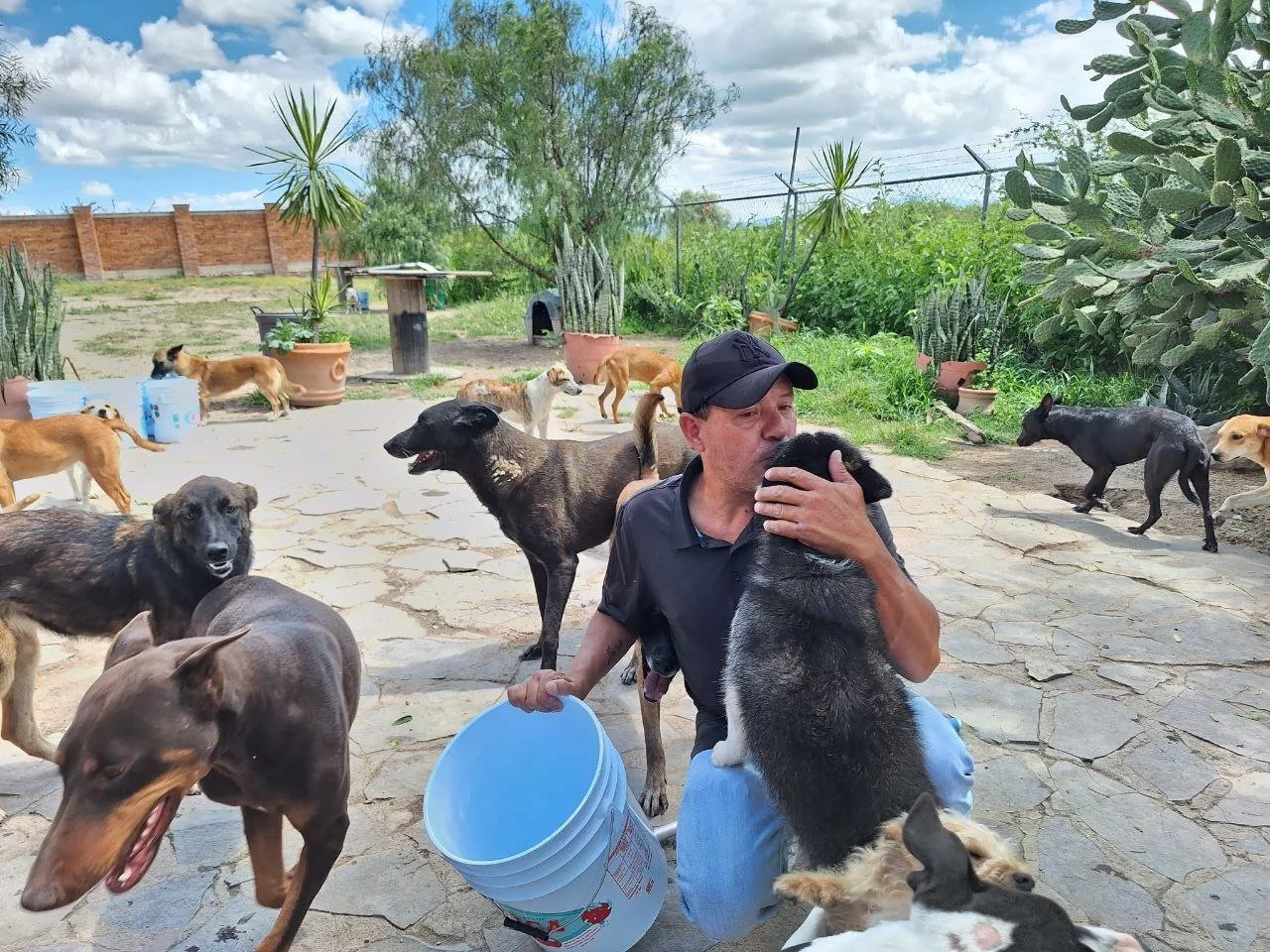 Rescatista Marcos Aguilera convierte su hogar en refugio para 50 perritos en León