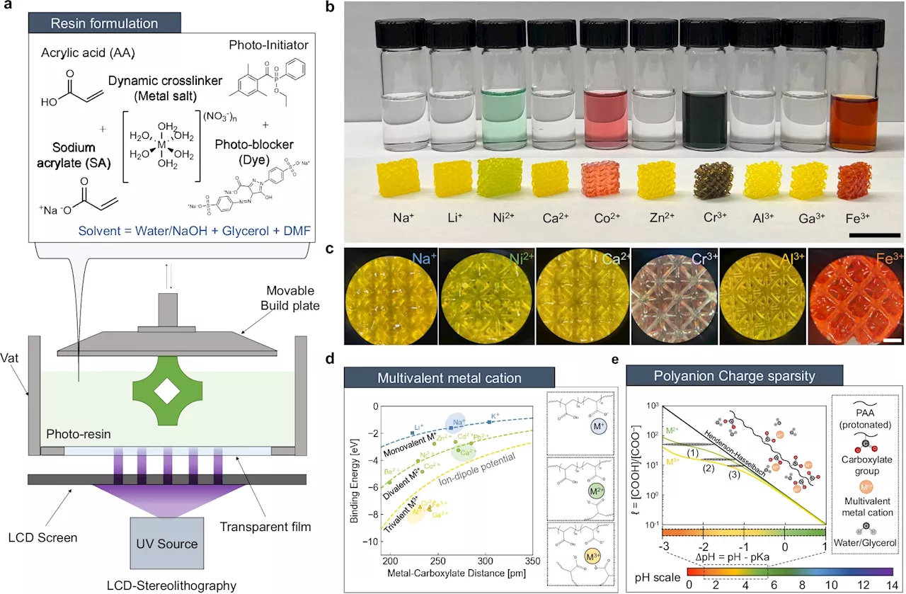 Materials scientists develop road map for designing responsive gels with unusual properties