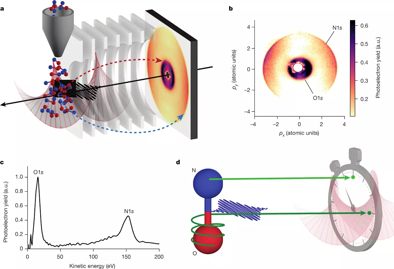 Physicists observe key minuscule molecular interactions in ultra-fast atomic processes