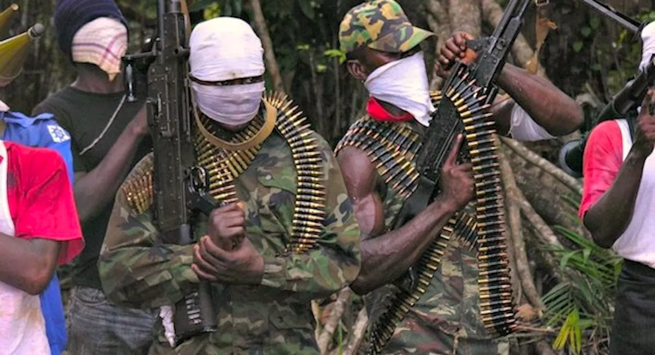 Terrorists attack Niger State community, kill many