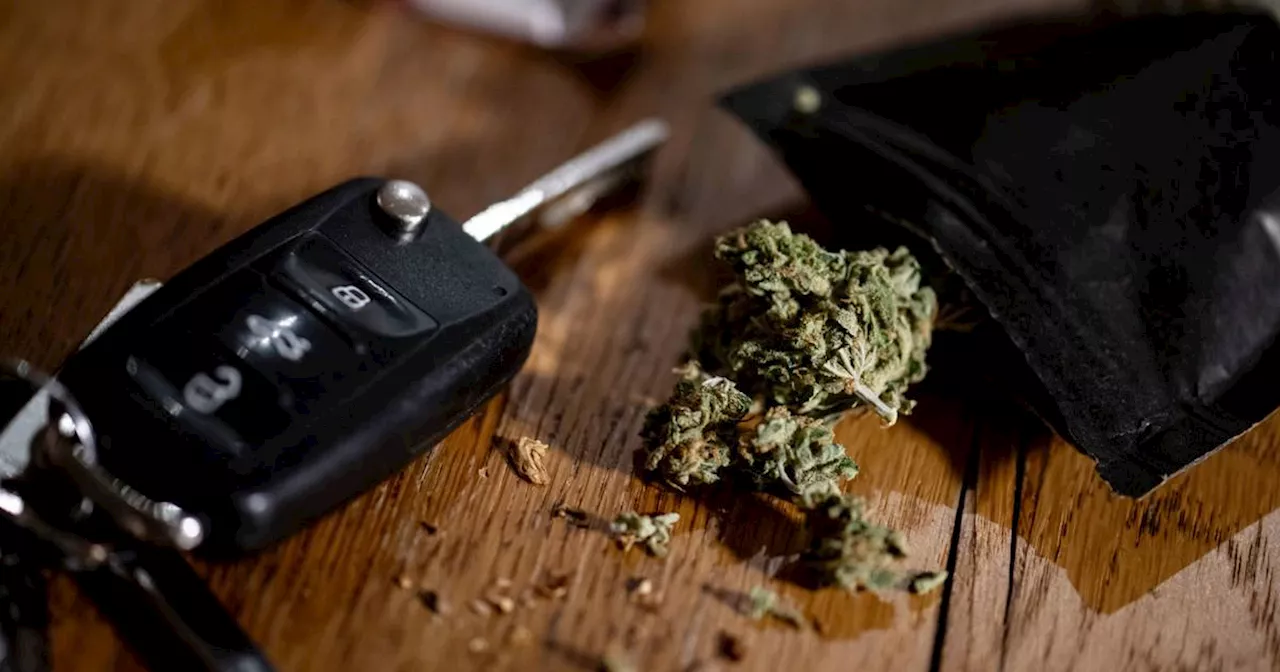 Cannabis-Legalisierung: Welche Regeln beim Autofahren gelten