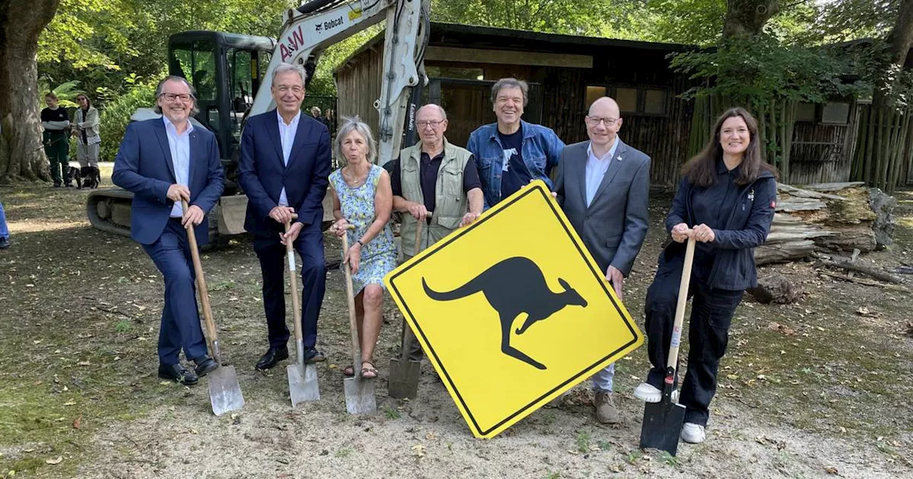 Im Krefelder Zoo ist der Spatanstisch für das neue Känguru-Outback erfolgt