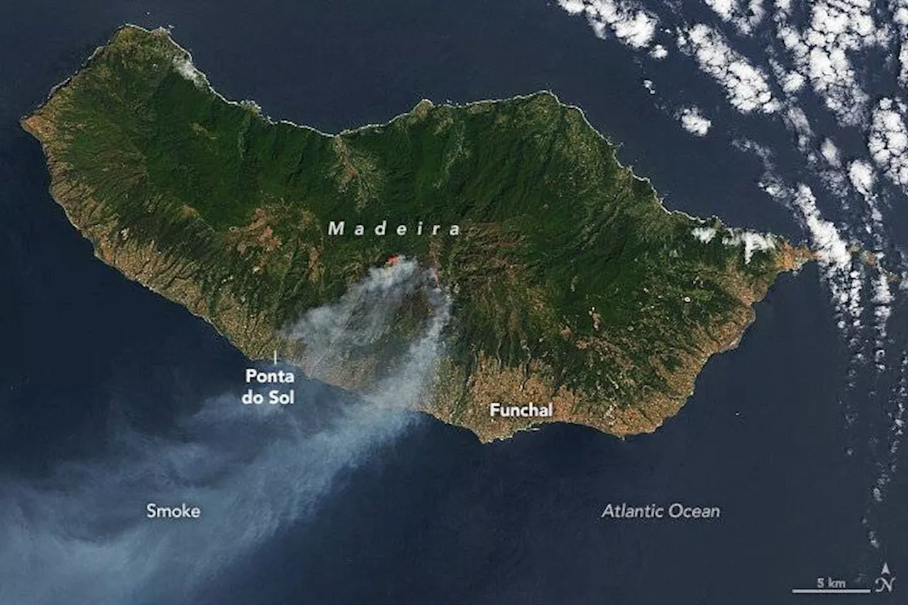 Madeira: Waldbrand wütet und bedroht Weltnaturerbe