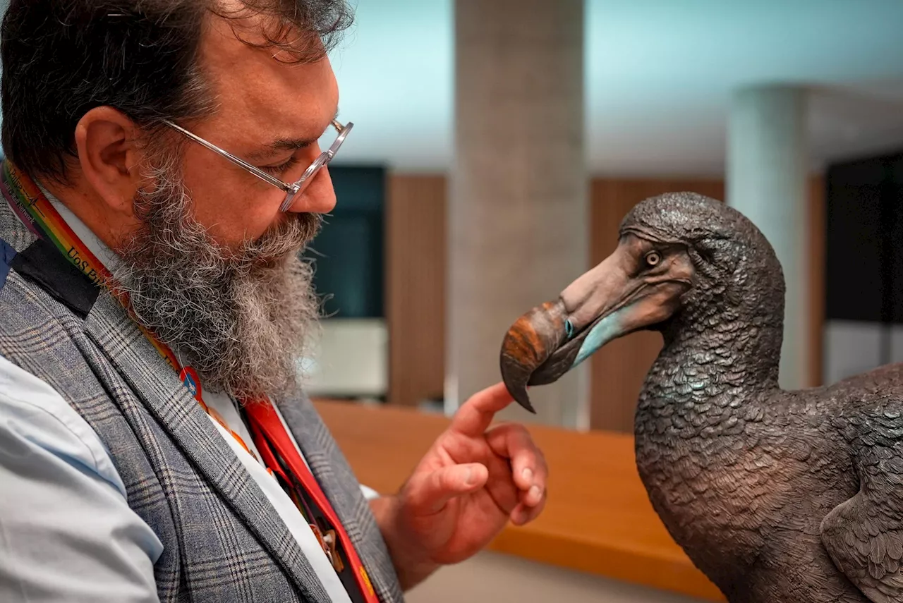 Rewriting Dodo History: How 400 Years of Research Got It Wrong