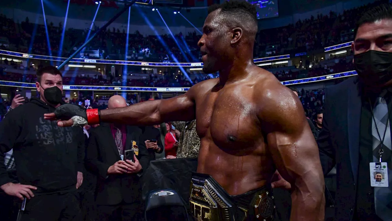 Fans Bash Francis Ngannou’s Opponent after 'Despicable' Comment to Ex-UFC Champ