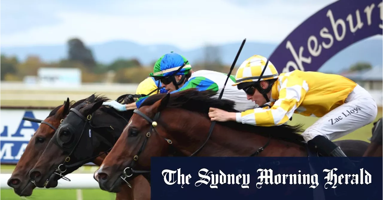 Race-by-race preview and tips for Hawkesbury on Thursday