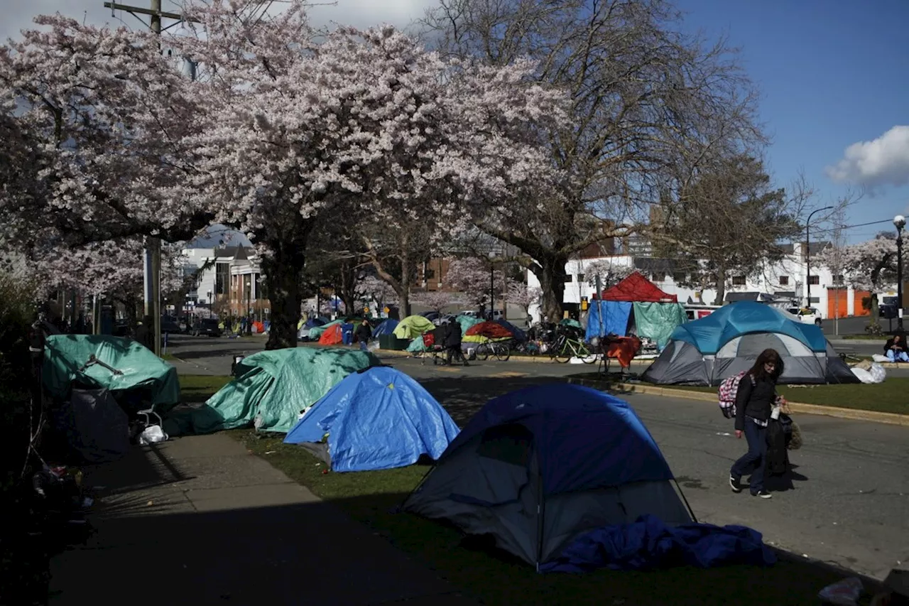 More shelter beds for people in Victoria street camp cited by police for 'hostility'