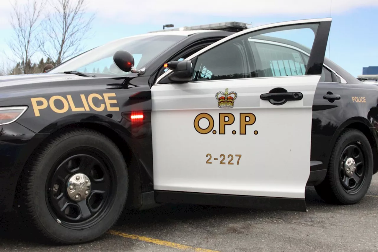 OPP seize thousands in cash after traffic stop near Algoma Mills