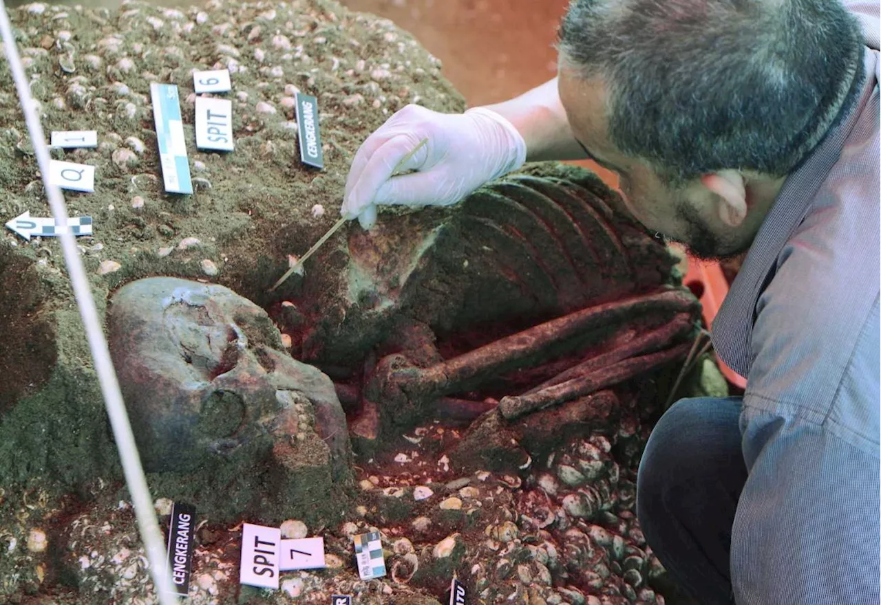 Over 71,000 prehistoric artefacts discovered, removed from Nenggiri Valley ahead of dam construction