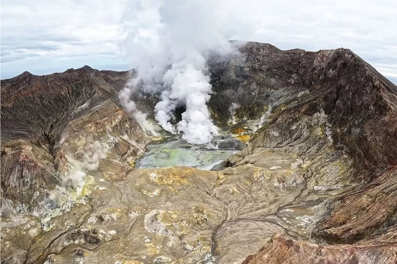 Volcanic eruption grounds flights in New Zealand