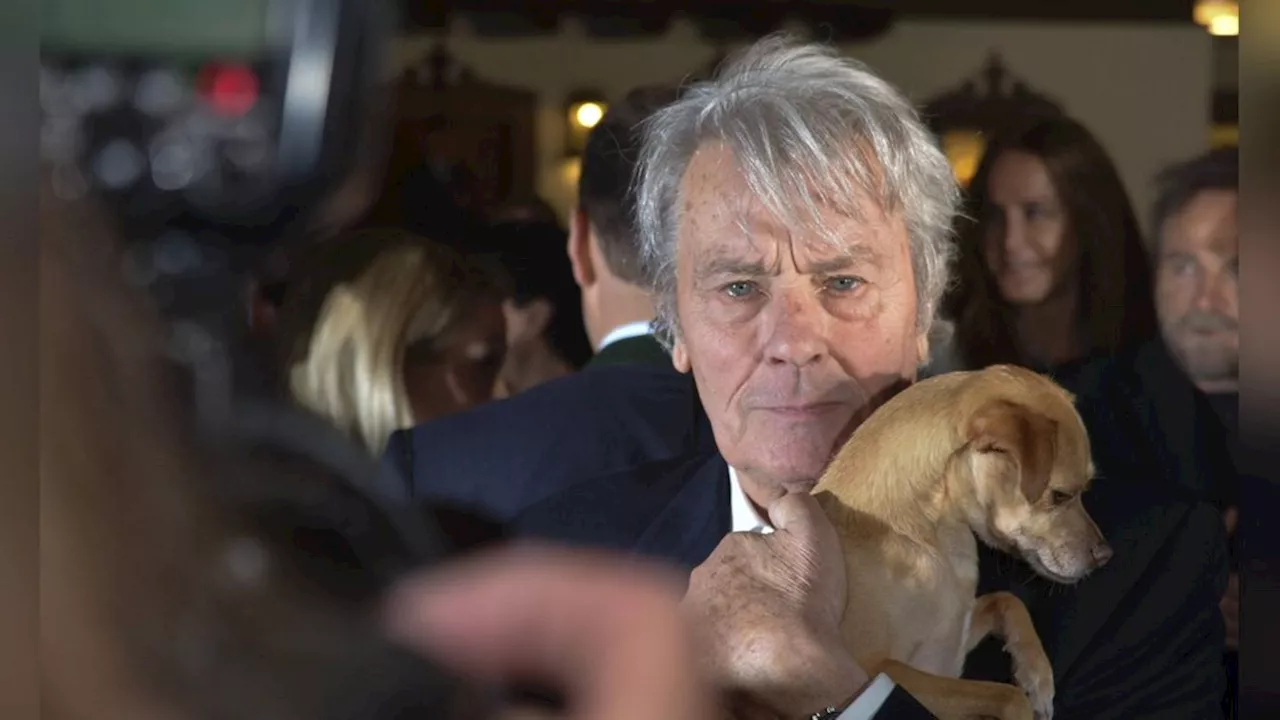 Alain Delon: Sein alter Hund wird nicht eingeschläfert