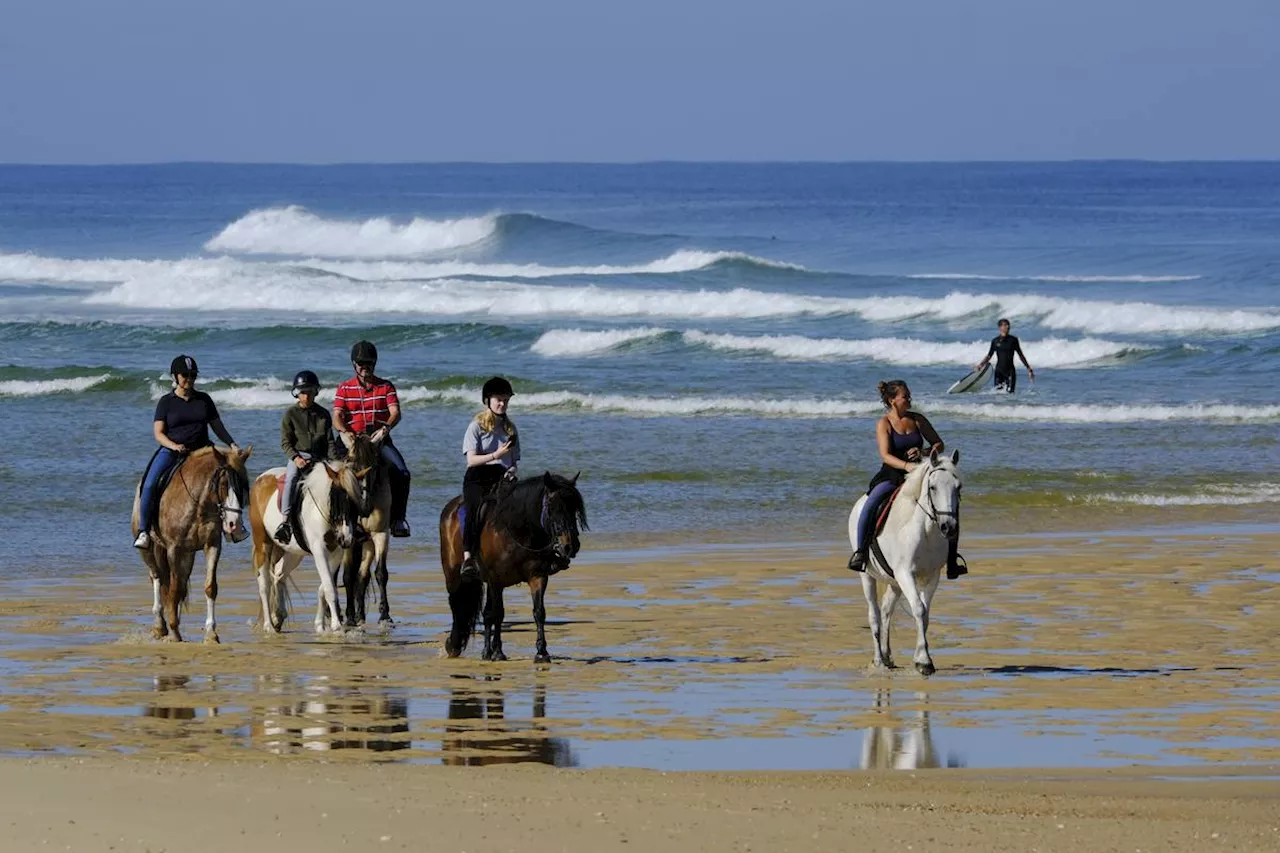 « Sud Ouest » a testé pour vous : la balade à cheval sur la plage de Contis, dans les Landes